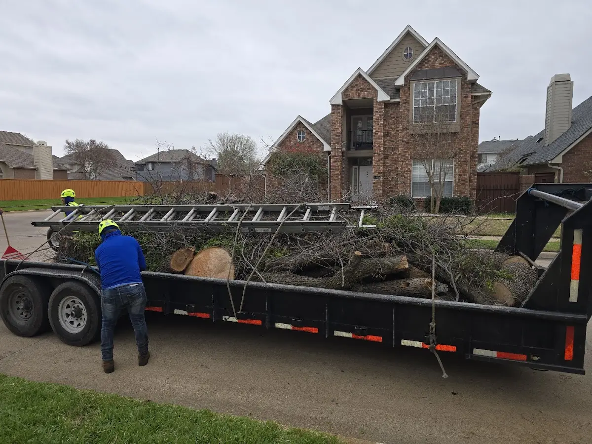 Expert Tree Fertilization with proper safety equipment in Brooten